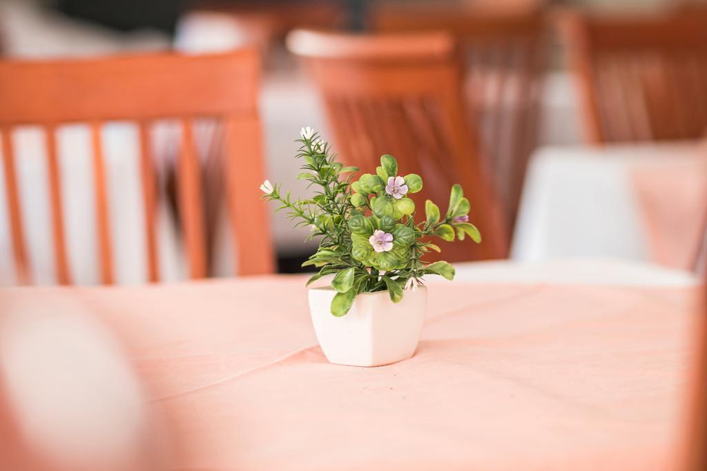 Hotel Hygge Биоград на Мору Екстериор снимка